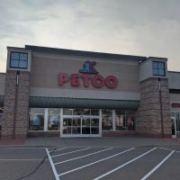 Petco ico