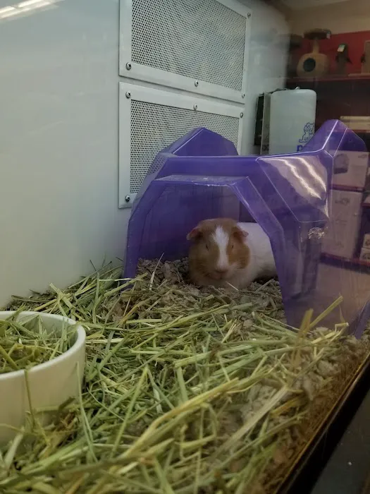 Petco Picture 8
