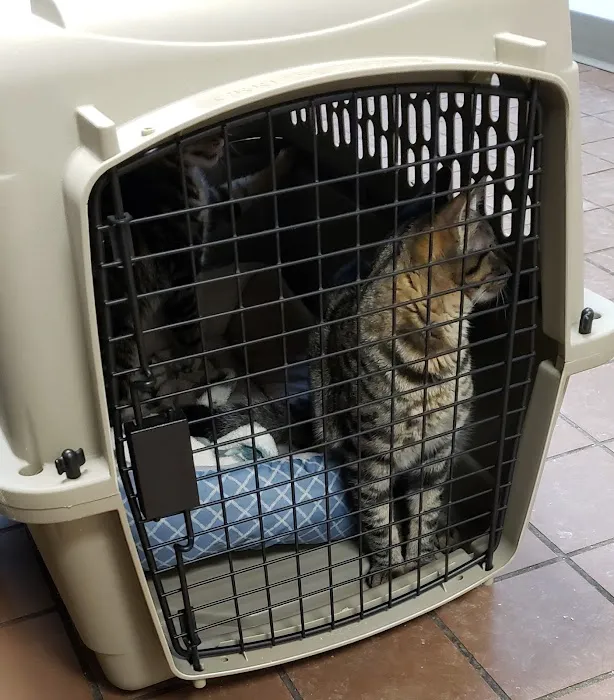 VCA Bristol Animal Hospital Picture 7