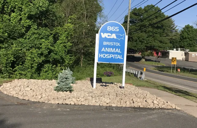 VCA Bristol Animal Hospital Picture 10