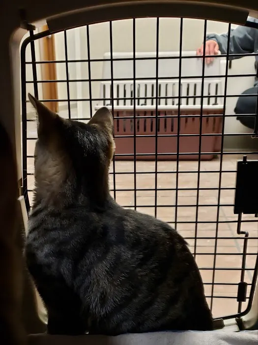 VCA Bristol Animal Hospital Picture 8