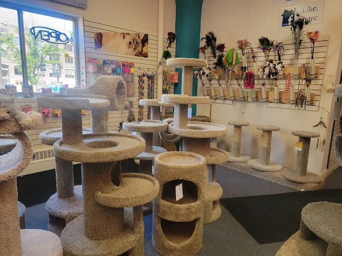 Purrniture Cat Furniture Picture 3