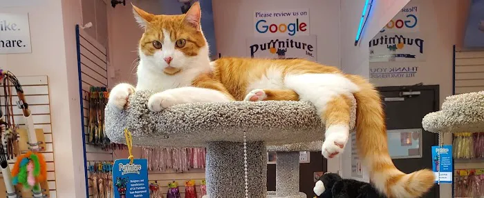 Purrniture Cat Furniture Picture 10
