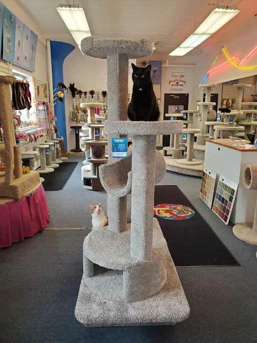 Purrniture Cat Furniture Picture 5