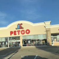 Petco ico