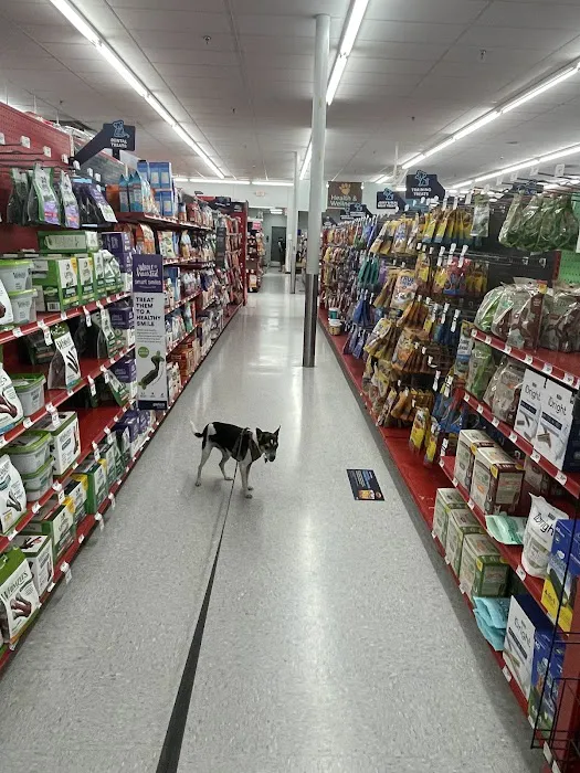 Petco Picture 3