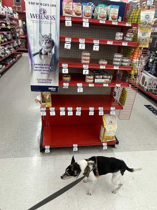 Petco Picture 4