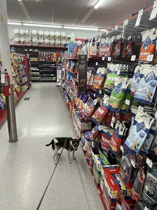 Petco Picture 2