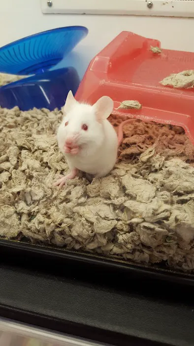 Petco Picture 8