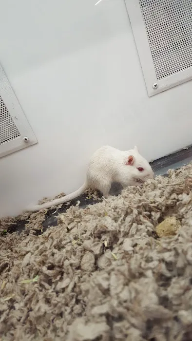 Petco Picture 6