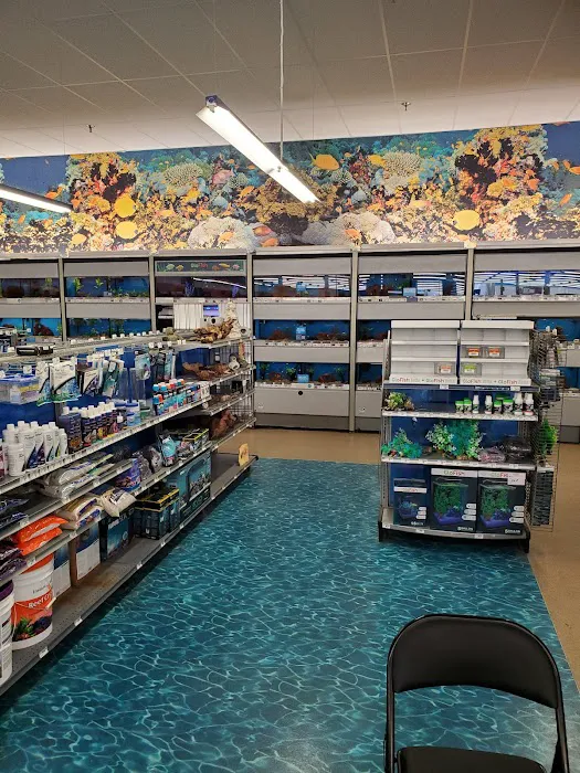 Petco Picture 10