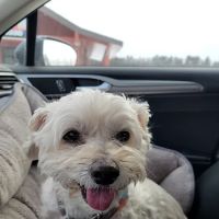 Chuck & Don's Pet Food & Supplies ico