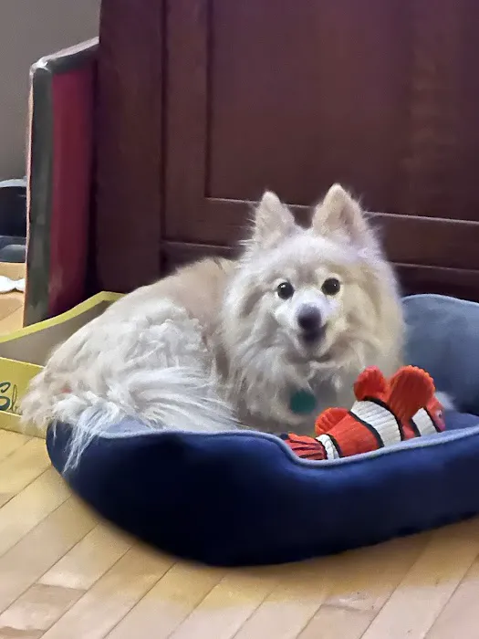 Chuck & Don's Pet Food & Supplies Picture 2