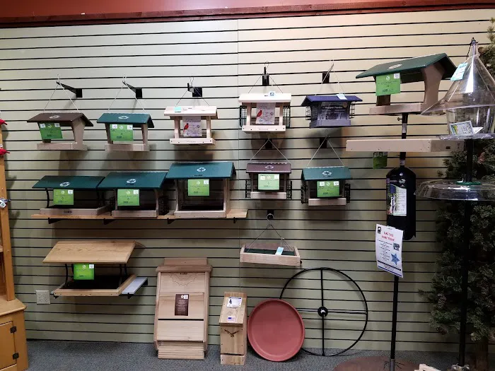 All Seasons Wild Bird Store Picture 3