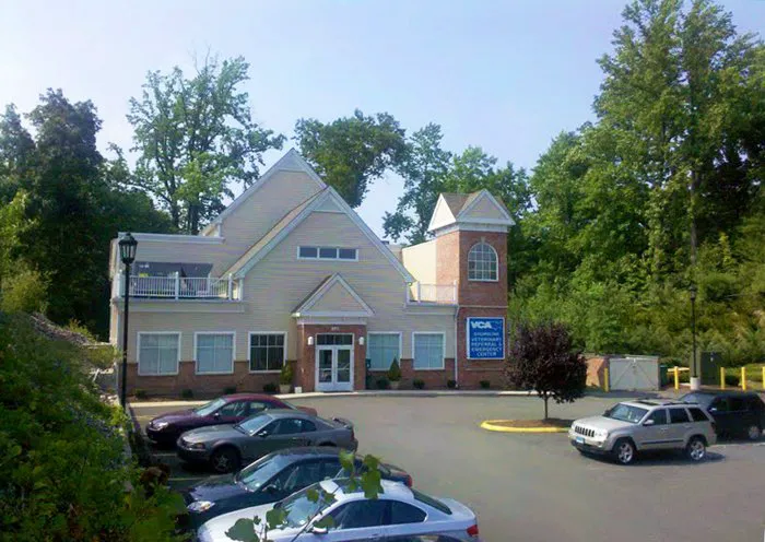 VCA Shoreline Veterinary Referral and Emergency Center Picture 2