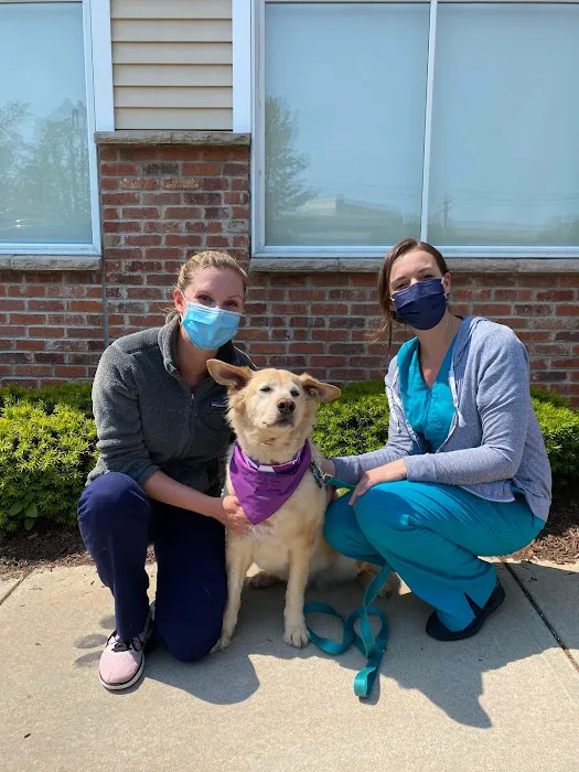 VCA Shoreline Veterinary Referral and Emergency Center Picture 6