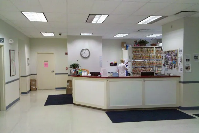 VCA Shoreline Veterinary Referral and Emergency Center Picture 4