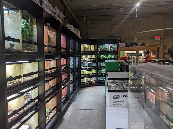 Twin Cities Reptiles Picture 8