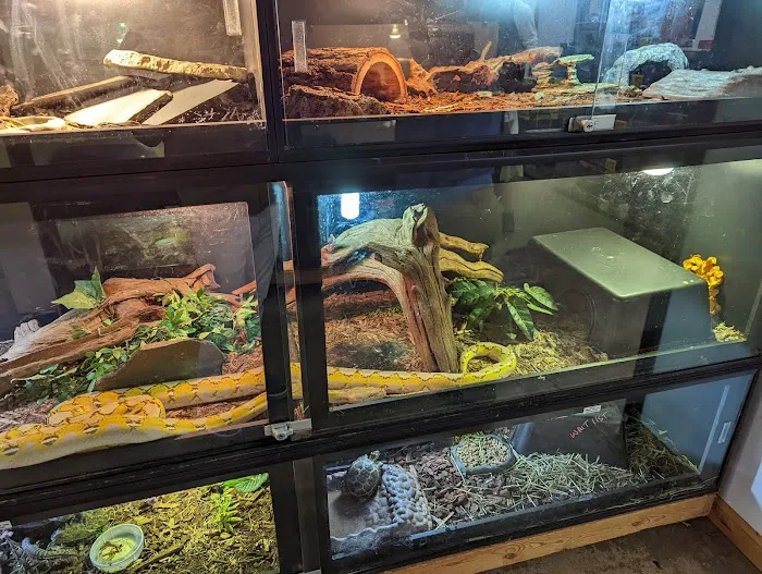 Twin Cities Reptiles Picture 9