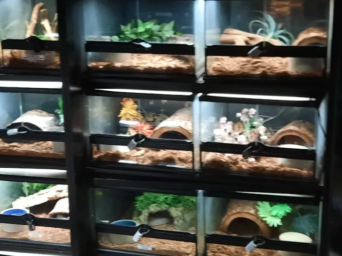 Twin Cities Reptiles Picture 4