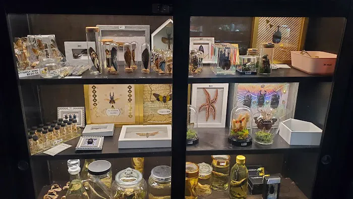 Twin Cities Reptiles Picture 3