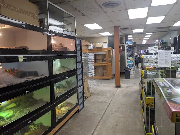 Twin Cities Reptiles Picture 7