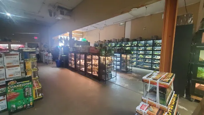 Twin Cities Reptiles Picture 2