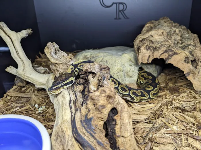 Twin Cities Reptiles Picture 10