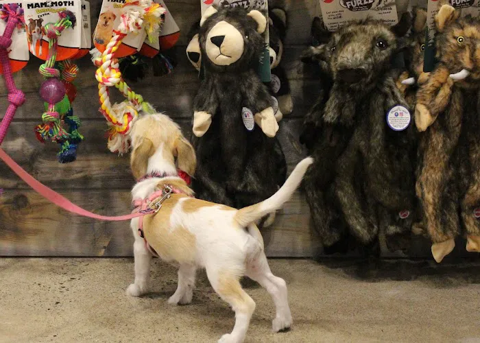 Chuck & Don's Pet Food & Supplies Picture 2