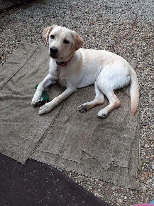 Countryside Veterinary Hospital Picture 5
