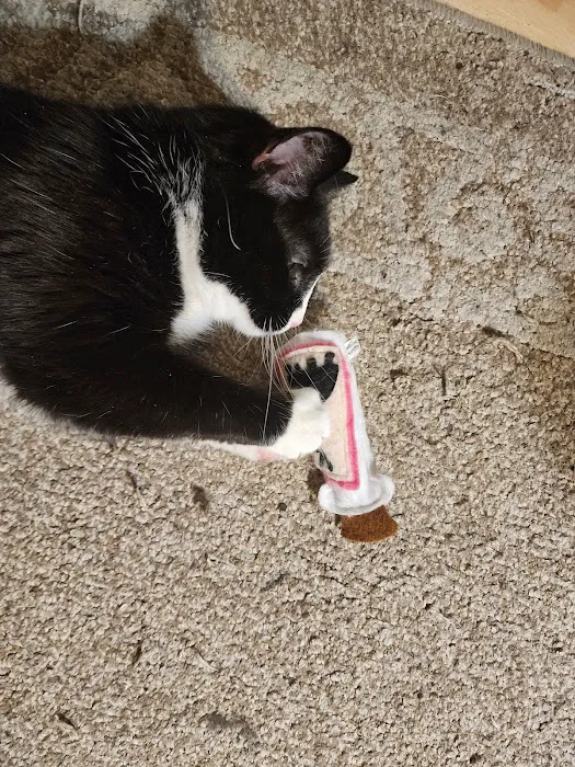 Fuzzbutt Boutique Picture 5