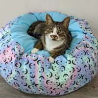 Fuzzbutt Boutique ico