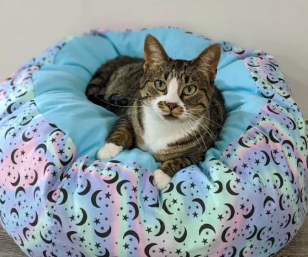 Fuzzbutt Boutique