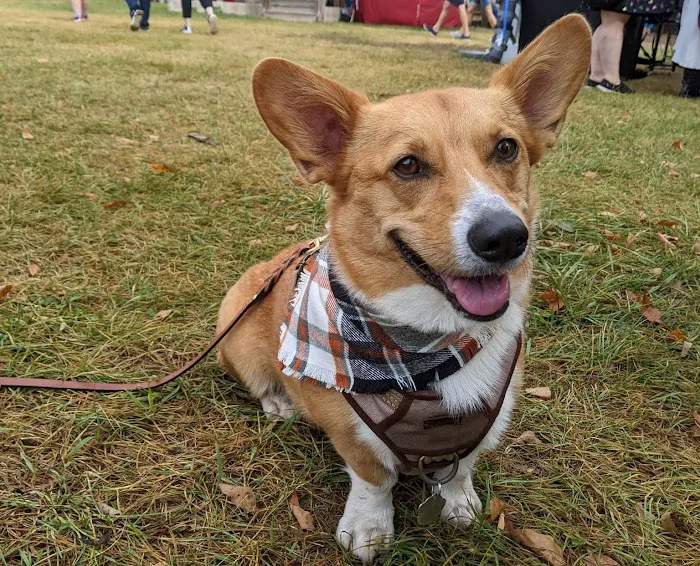 Fuzzbutt Boutique Picture 3