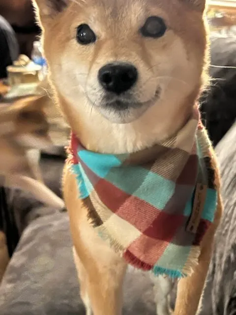 Fuzzbutt Boutique Picture 10