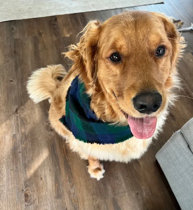 Fuzzbutt Boutique Picture 7