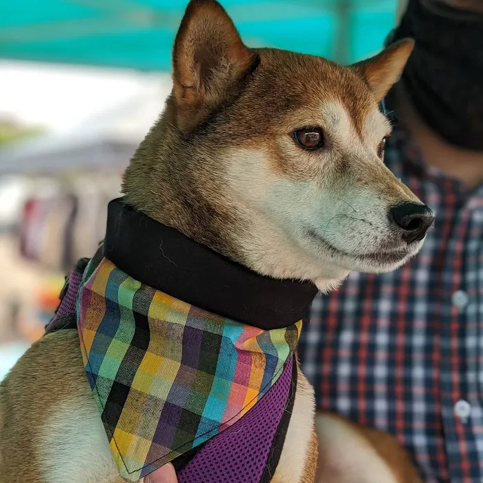 Fuzzbutt Boutique Picture 9