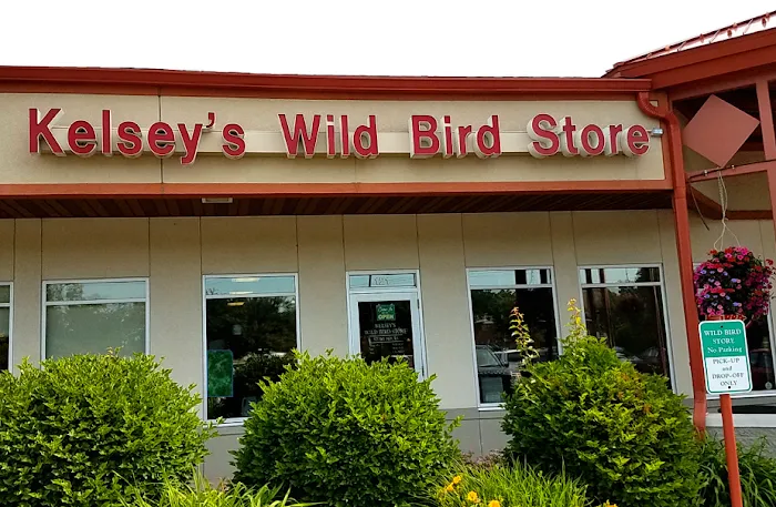 All Seasons Wild Bird Store Picture 1