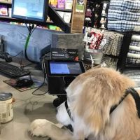 Chuck & Don's Pet Food & Supplies ico