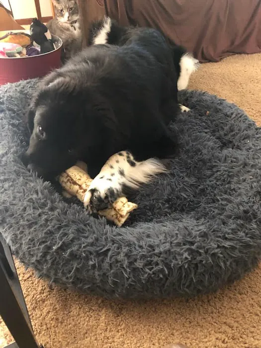 Pet Wants Woodbury Picture 2