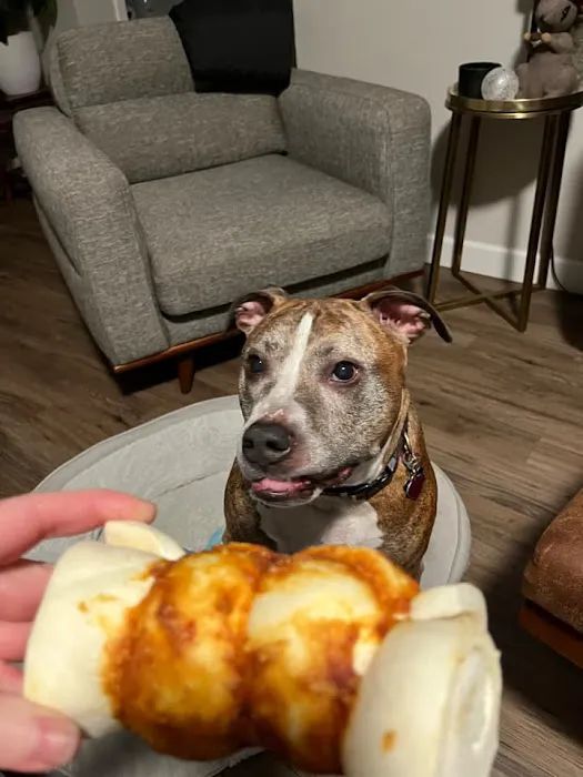 Pet Wants Woodbury Picture 5