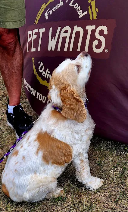 Pet Wants Woodbury Picture 6