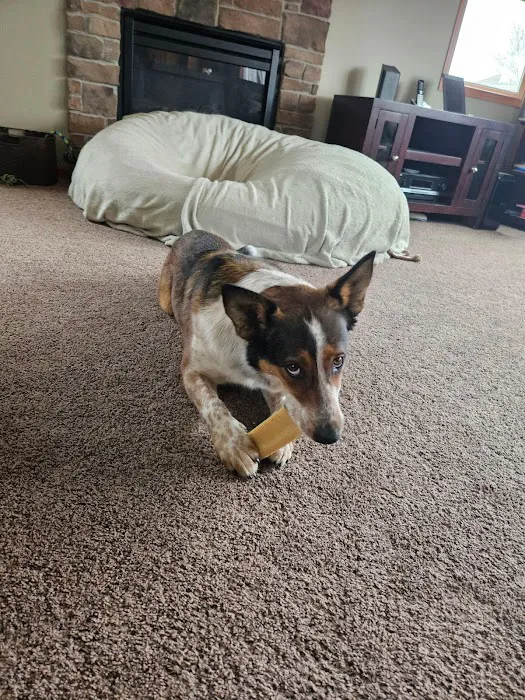 Pet Wants Woodbury Picture 9