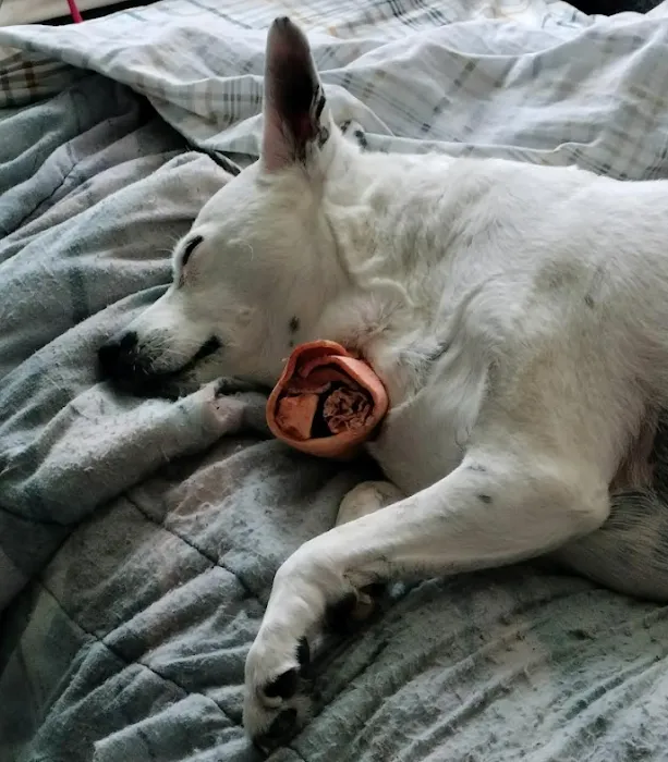 Pet Wants Woodbury Picture 10