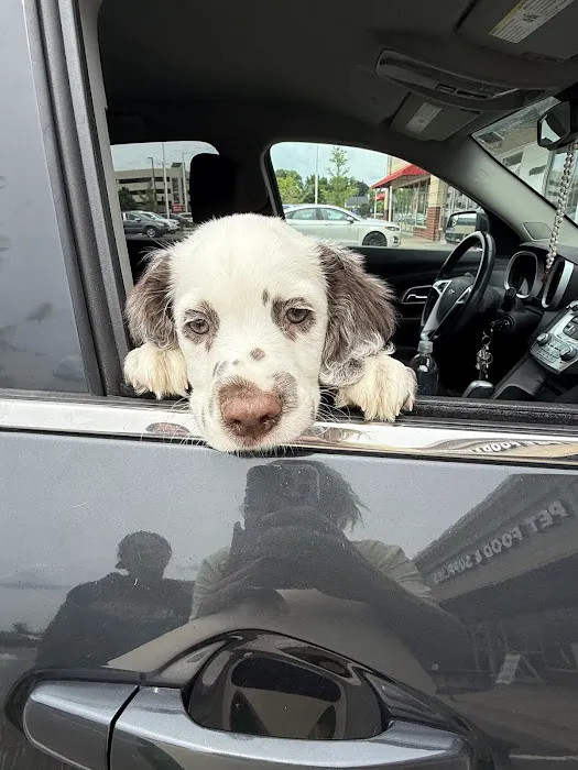 Chuck & Don's Pet Food & Supplies Picture 9