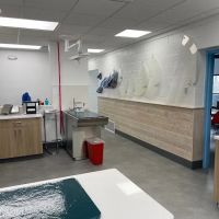 Unleashed Veterinary Dermatology ico