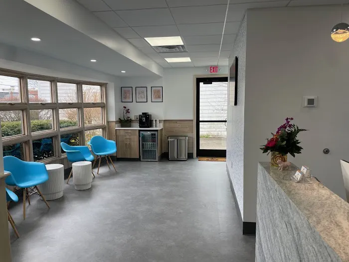 Unleashed Veterinary Dermatology Picture 6