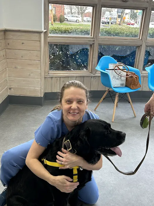 Unleashed Veterinary Dermatology Picture 8