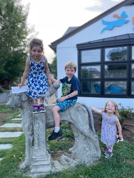 Unleashed Veterinary Dermatology Picture 7