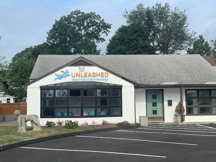 Unleashed Veterinary Dermatology Picture 9